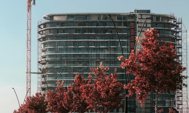 A photo of a building with a crane alongside it. There is a tree in the foreground.