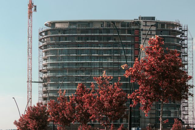 A photo of a building with a crane alongside it. There is a tree in the foreground.