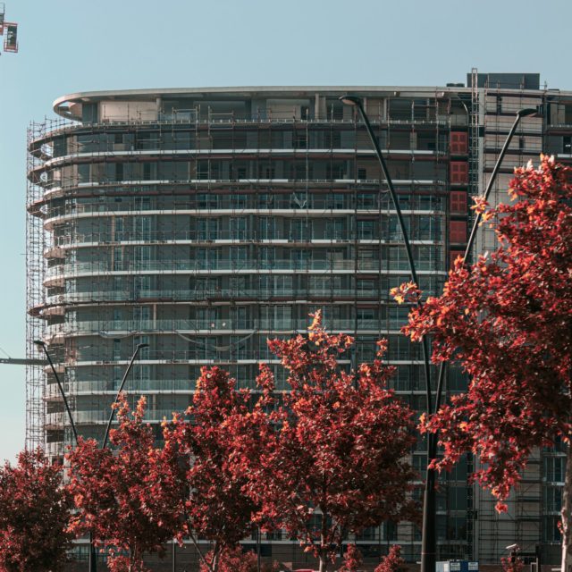 A photo of a building with a crane alongside it. There is a tree in the foreground.
