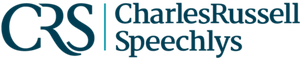 Logo 12